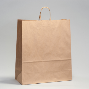 Paper carry bags